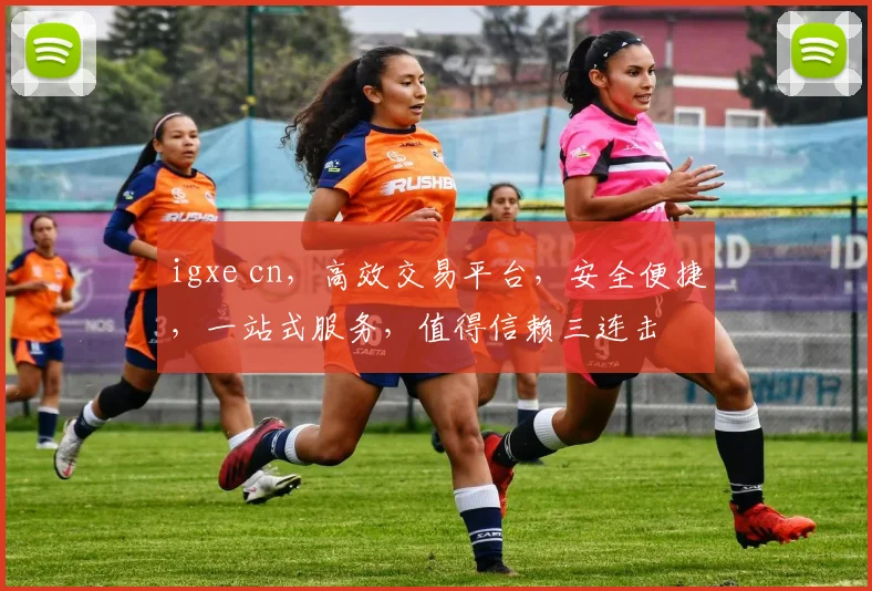 igxe cn，高效交易平台，安全便捷，一站式服务，值得信赖三连击