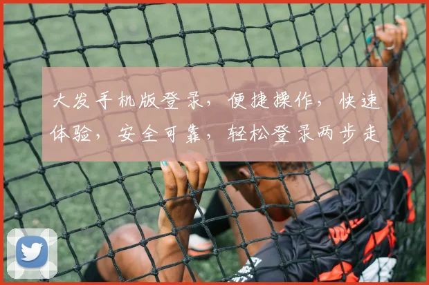 大发手机版登录，便捷操作，快速体验，安全可靠，轻松登录两步走