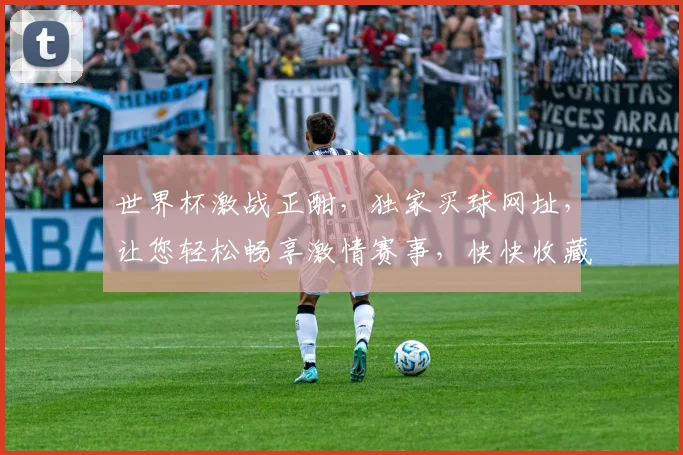 世界杯激战正酣，独家买球网址，让您轻松畅享激情赛事，快快收藏